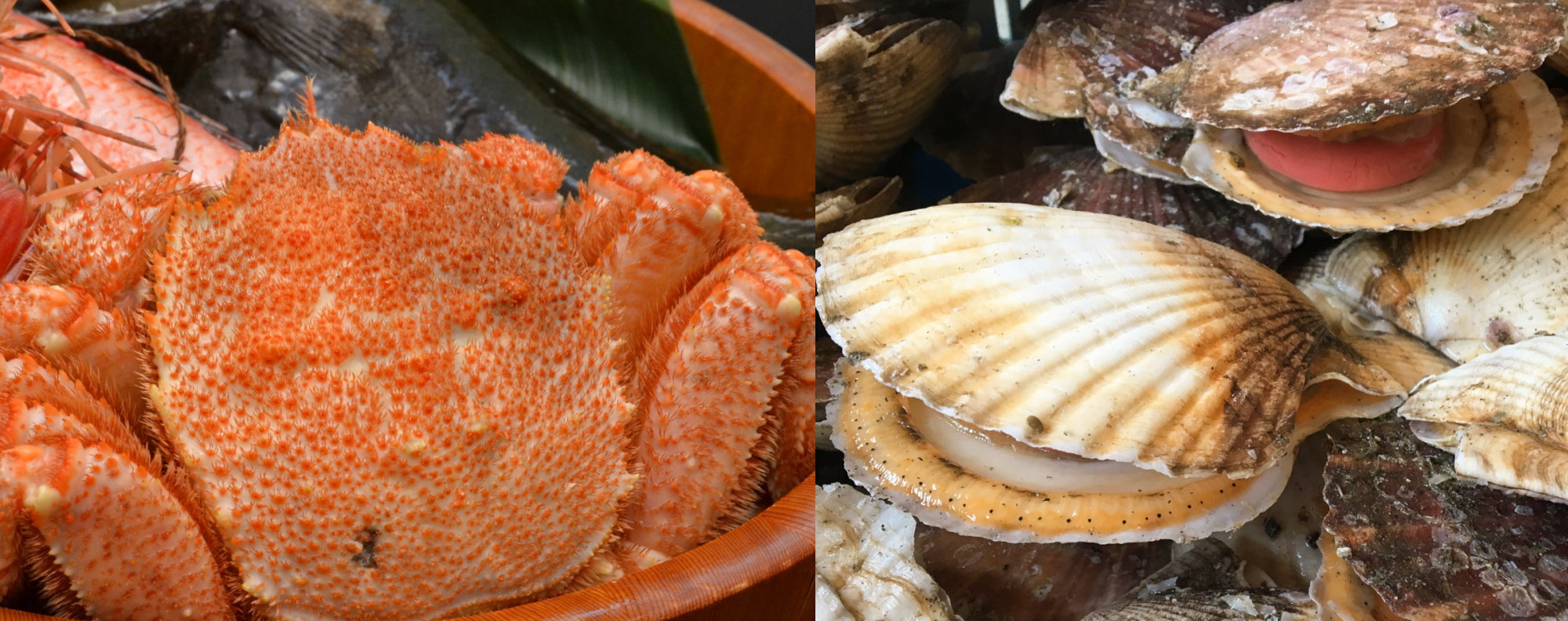 トップイメージ03